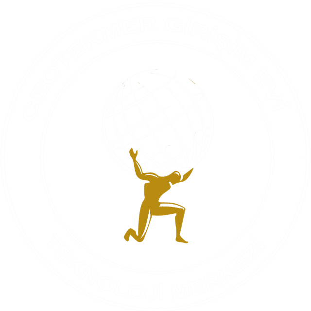 CEOTEKMER